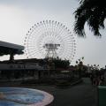 IMG_1446.jpg