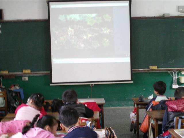 IMAG0212