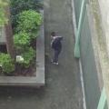 文化園......一人一分力.........