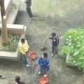 雖然....每天都有掉葉......但持續打掃與維持.........