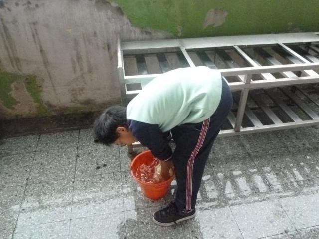 第二棟一樓很認真的在洗餐車....