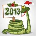 2013 Happy New Year