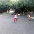 DSCF4767