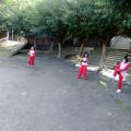 DSCF4770