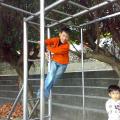 201401206167.jpg