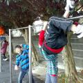 201401206178.jpg