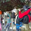 201401206179.jpg
