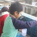 20130221_122501.jpg