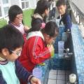 20130221_122509.jpg