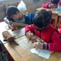 201301046066.jpg