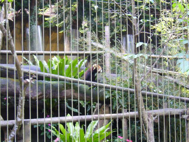 P1090974.JPG