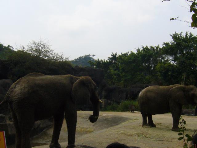 P1090981.JPG