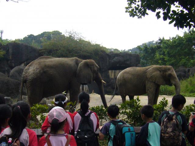 P1090982.JPG