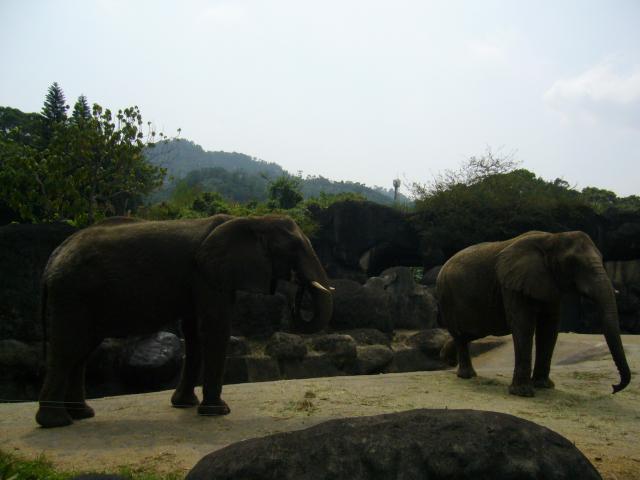P1090986.JPG