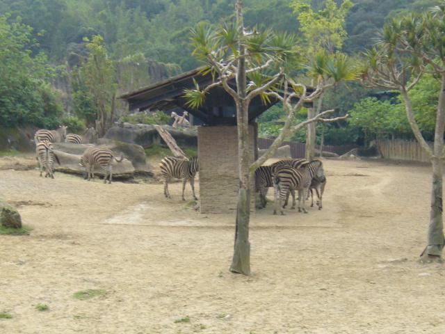 P1090993.JPG