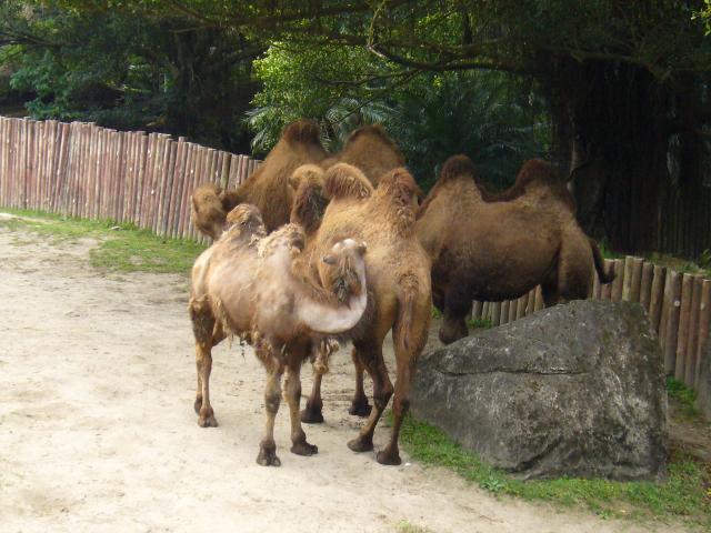 P1090995.JPG