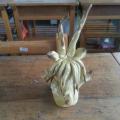 20130317_155615.jpg