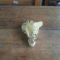 20130317_155705.jpg