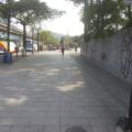 20130125_094710.jpg