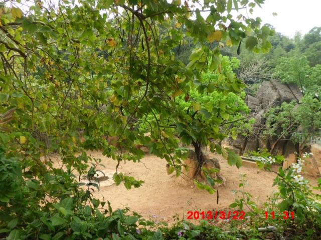 CIMG2006