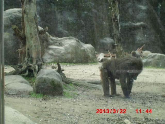 CIMG2011
