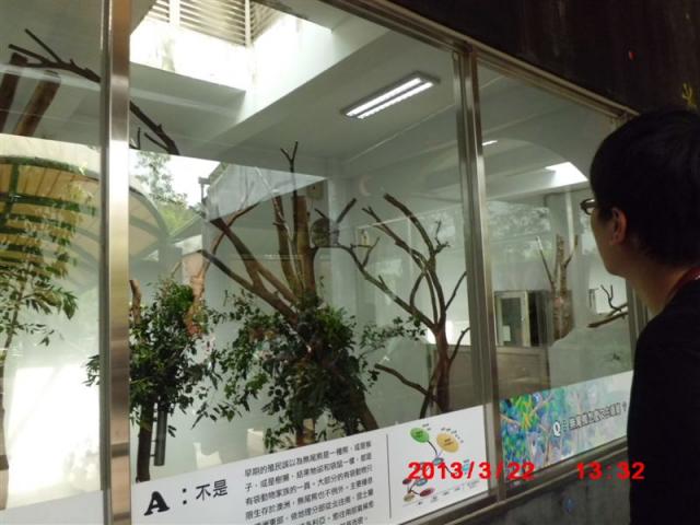 貓熊館
