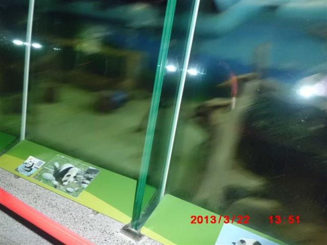 貓熊館