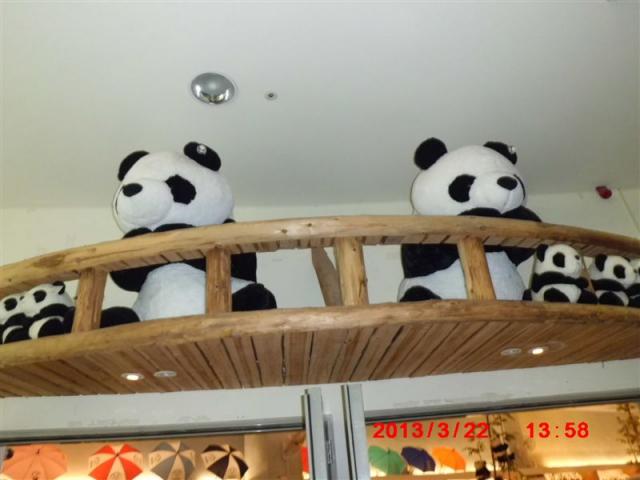 貓熊館