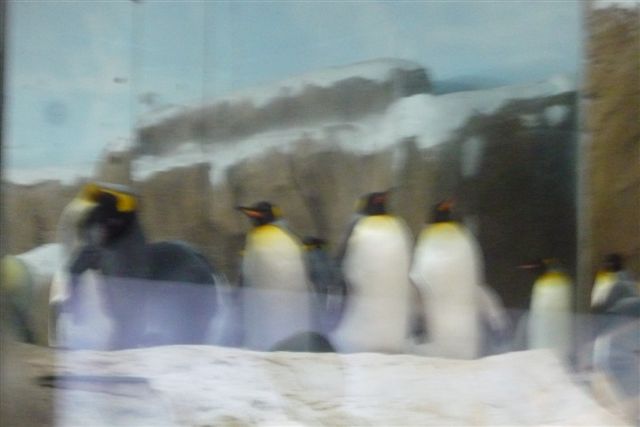 P1210507