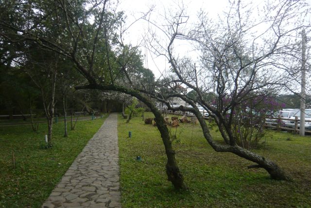 P1210121