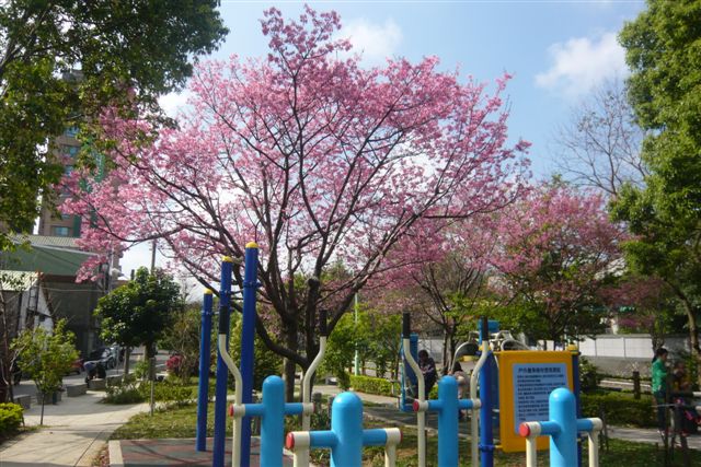 P1210451