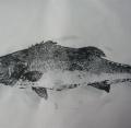 版畫國寶魚1