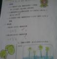 IMAG0293