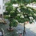 P1100254.JPG