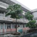 DSC06527.JPG