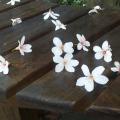 2013-04-23-08-37-12_photo