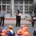 IMGP3356.JPG