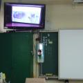 P1100278.JPG