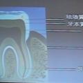 IMG_0013.JPG