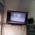 2013-04-30-08-31-46_photo
