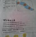 2013-04-30-09-15-12_photo