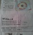 2013-04-30-09-16-42_photo