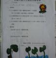 20130412_082442.jpg