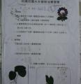 20130412_082450.jpg