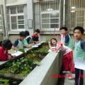 CIMG2163