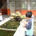 DSC05398