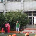 政見發表