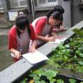 水生植物學習活動