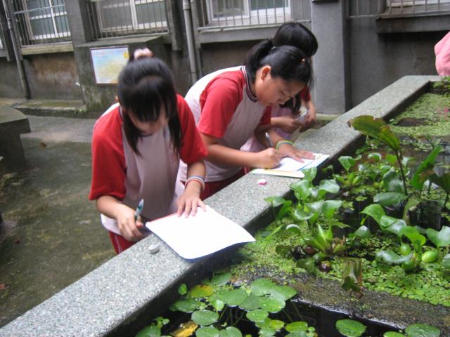 IMG_2558.JPG