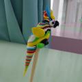 DSC00184.JPG